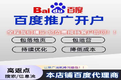 电商平台信息流广告的创意与执行案例分析